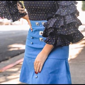 Peter Pilotto Skirt in Blue